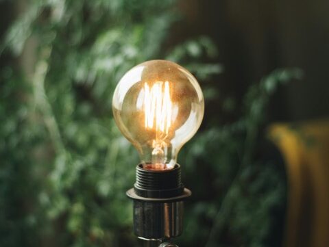 A lit light bulb on a stand against a green plant wall.